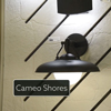 Cameo Shores - 16" 1 Light Outdoor Wall Mount
